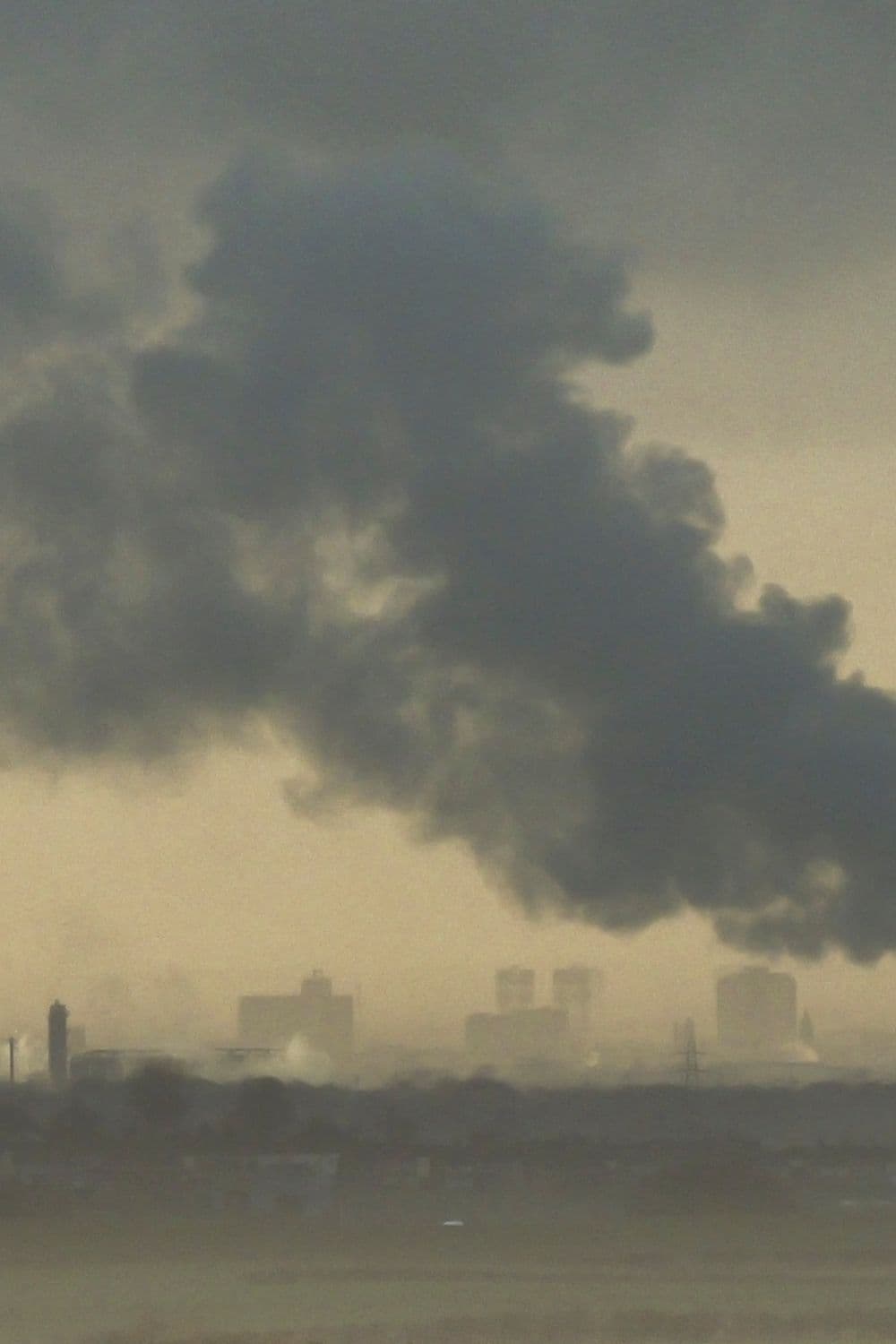 Environmental Pollution